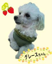 �v�[�h���̃O���[�X�����